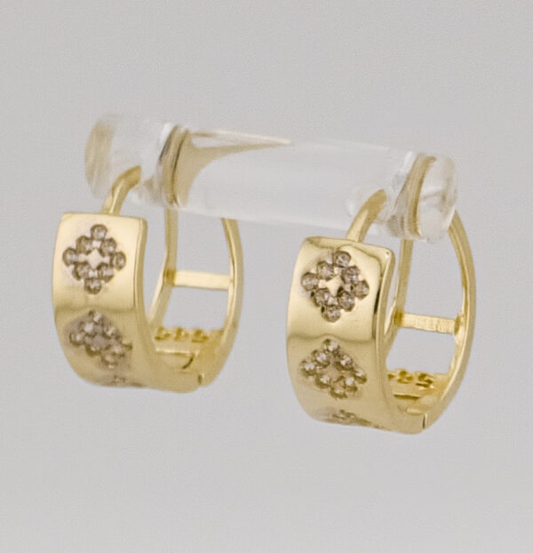 14K Yellow Gold Hoop Earrings with Zirconia